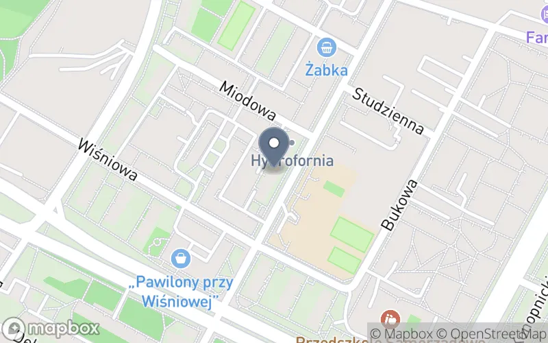 Lokalizacja: Niepubliczna Placówka Kształcenia Ustawicznego Ronin