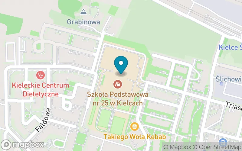 Lokalizacja: Szkoła Podstawowa nr 25 im. Kornela Makuszyńskiego w Kielcach