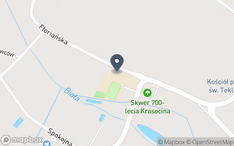 Lokalizacja: Zespół Placówek Oświatowych im. Rtm. Witolda Pileckiego w Krasocinie