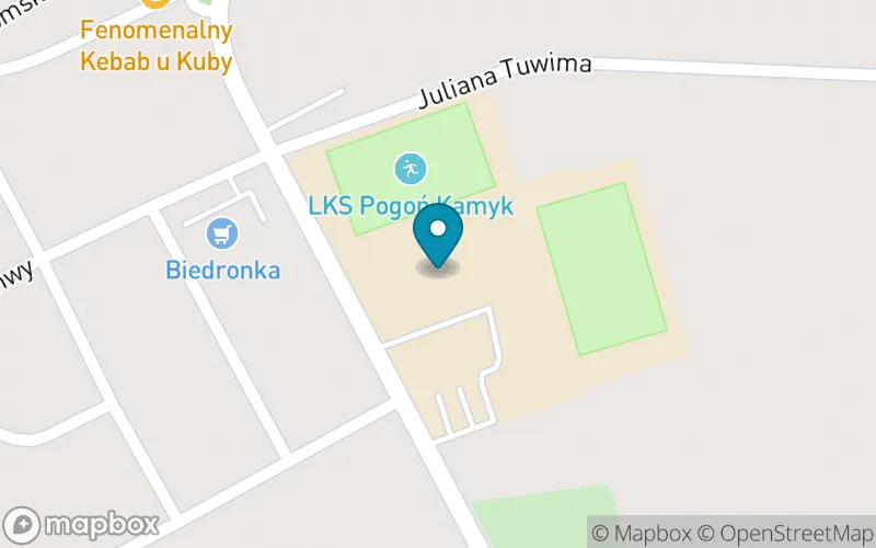 Lokalizacja: Szkoła Podstawowa w Kamyku