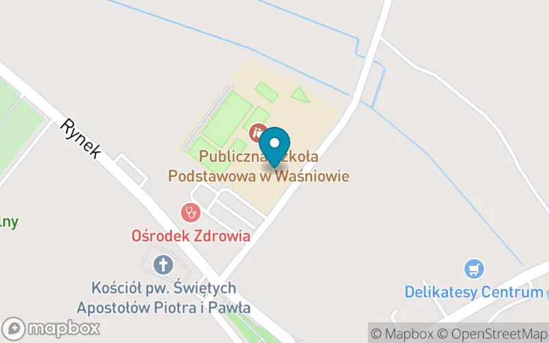 Lokalizacja: Publiczna Szkoła Podstawowa w Waśniowie
