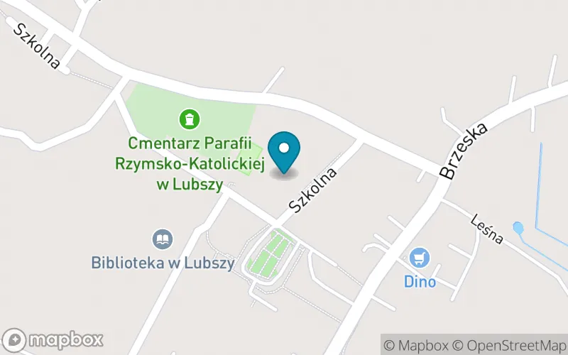 Lokalizacja: Publiczna Szkoła Podstawowa im. Jana Pawła II w Lubszy z Filią w Dobrzyniu