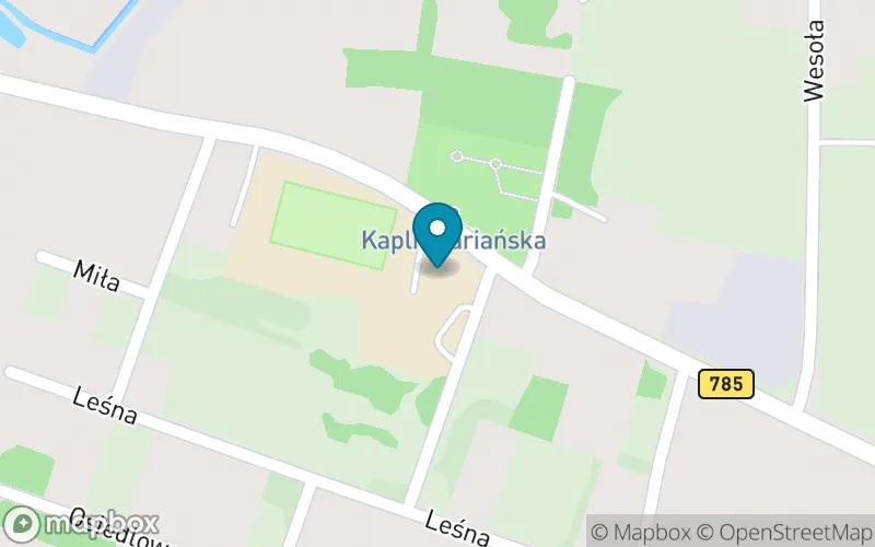 Lokalizacja: Publiczna Szkoła Podstawowa im. Heleny i Aleksandra Ostrowskich w Silniczce
