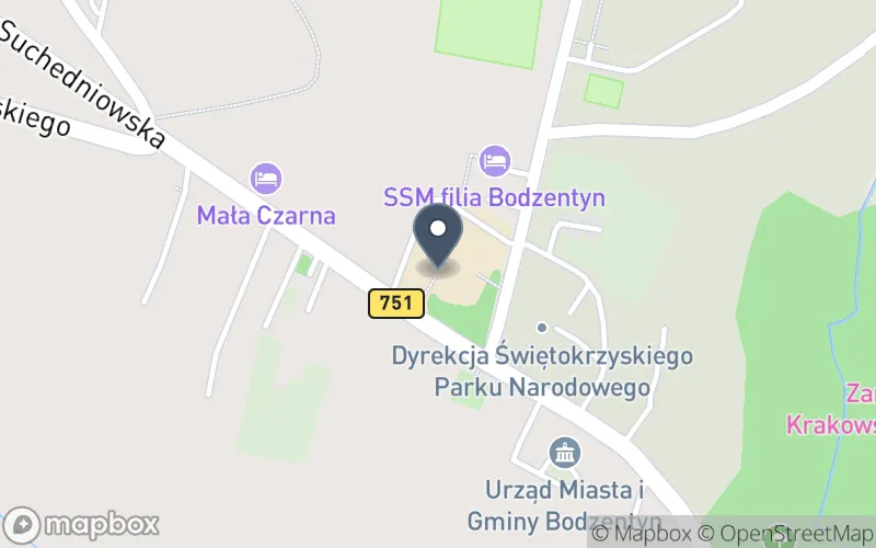 Lokalizacja: Powiatowy Zespół Szkół w Bodzentynie