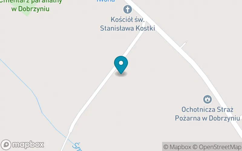 Lokalizacja: Publiczna Szkoła Podstawowa im. Jana Pawła II w Lubszy, Szkoła Filialna im. Marii Skłodowskiej - Curie w Dobrzyniu.