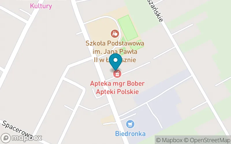 Lokalizacja: Szkoła Podstawowa im. Jana Pawła II w Łopusznie