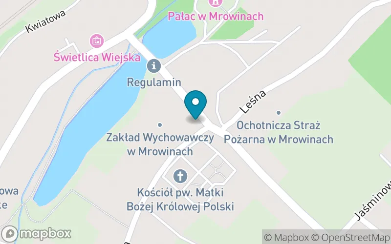 Lokalizacja: Szkoła Podstawowa Specjalna nr 2 w Mrowinach