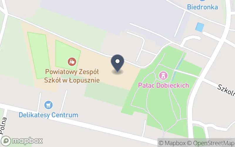 Lokalizacja: Powiatowy Zespół Szkół w Łopusznie