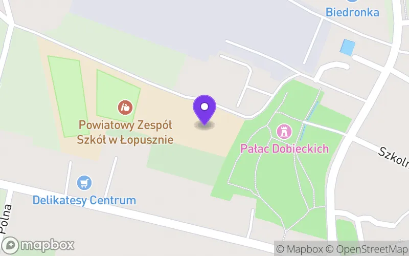Lokalizacja: Technikum w Powiatowym Zespole Szkół w Łopusznie