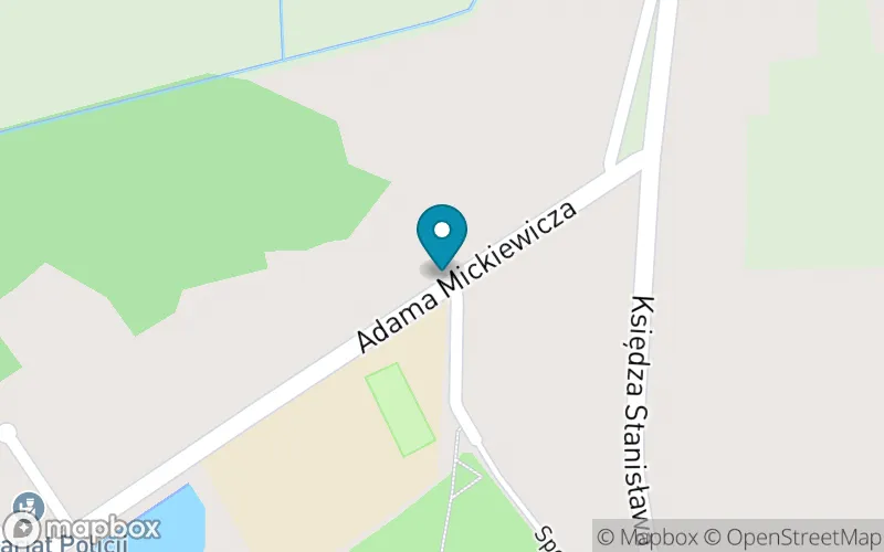 Lokalizacja: Szkoła Podstawowa nr 1 im. Adama Mickiewicza w Krzepicach