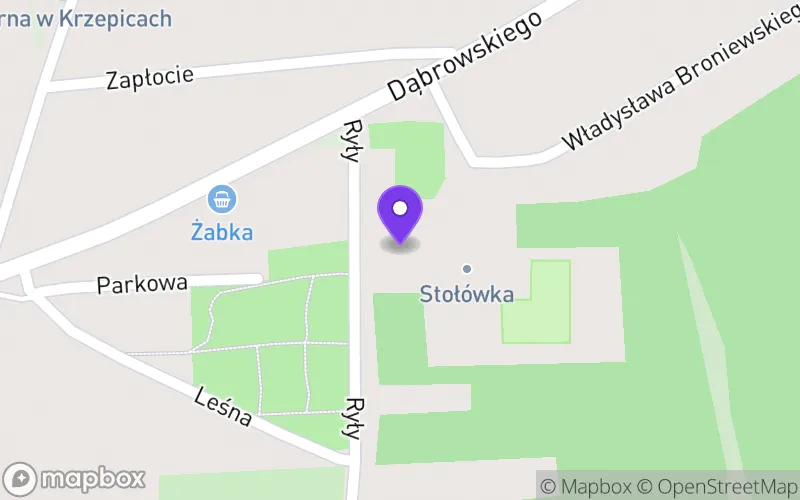 Lokalizacja: Technikum w Krzepicach