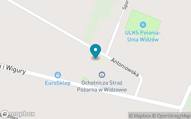 Lokalizacja: Szkoła Podstawowa im. Ojca Świętego Jana Pawła II w Widzowie