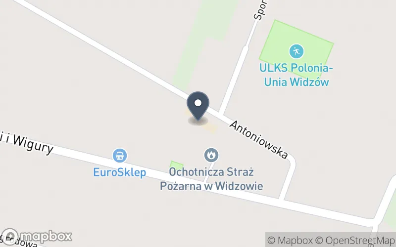 Lokalizacja: Zespół Szkolno - Przedszkolny w Widzowie
