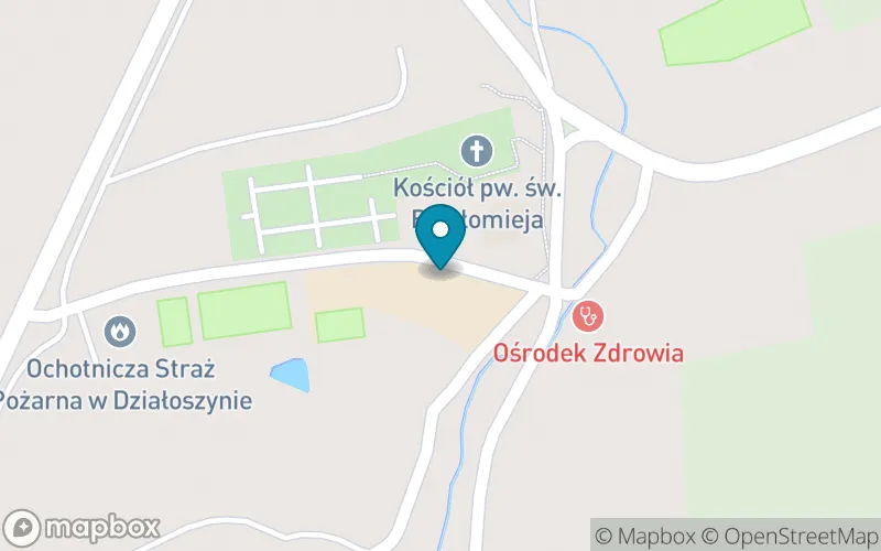 Lokalizacja: Szkoła Podstawowa Im.św Jadwigi Śląskiej w Działoszynie