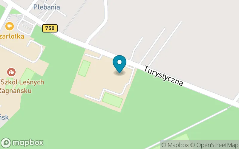 Lokalizacja: Szkoła Podstawowa nr 2 im. Stanisława Staszica w Zagnańsku