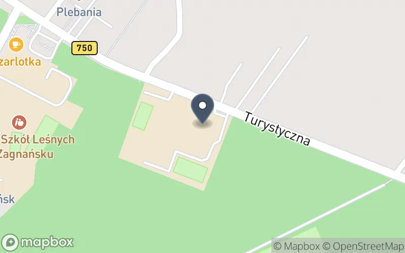 Lokalizacja: Zespół Szkoły Podstawowej nr 2 i Przedszkola w Zagnańsku