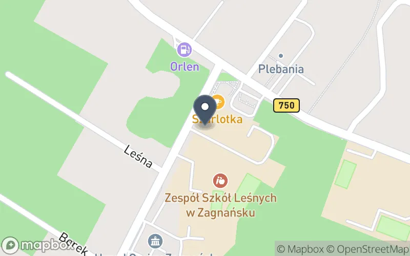 Lokalizacja: Zespół Szkół Leśnych im. Romana Gesinga w Zagnańsku