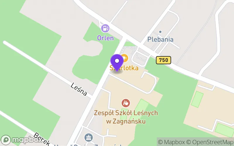 Lokalizacja: Branżowa Szkoła I Stopnia