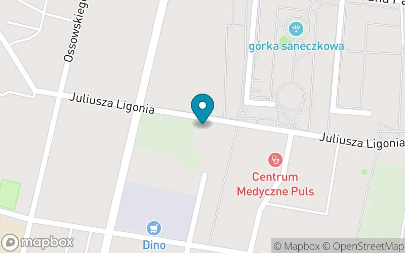 Lokalizacja: Społeczna Szkoła Podstawowa Społecznego Towarzystwa Oświatowego