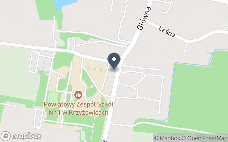 Lokalizacja: Powiatowy Zespół Szkół nr 1 w Krzyżowicach