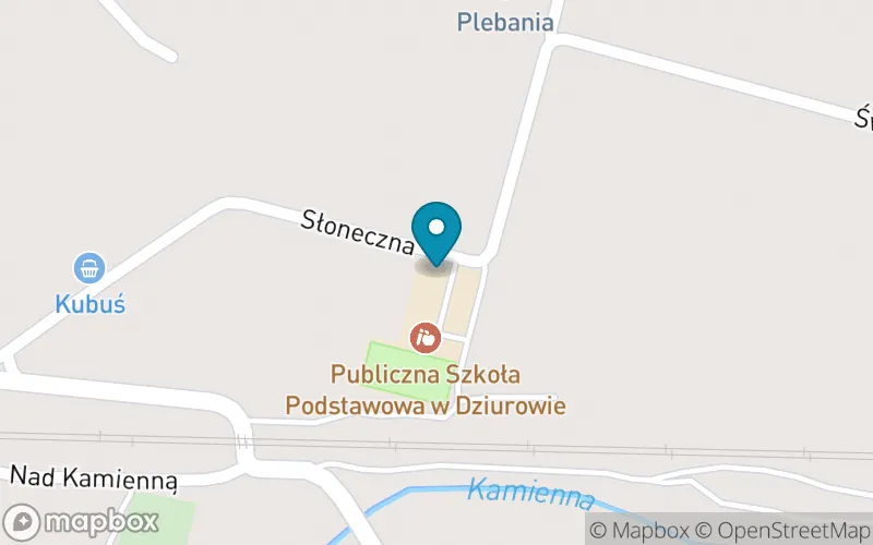 Lokalizacja: Publiczna Szkoła Podstawowa w Dziurowie