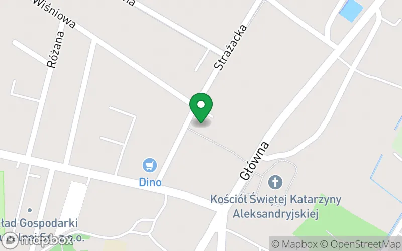 Lokalizacja: Przedszkole Sensoryczne "Pluszaki"