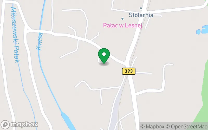 Lokalizacja: Niepubliczne Przedszkole w Leśnej Centrum Opieki i Rozwoju "Tęczowa Dolina" Dorota Bałaban