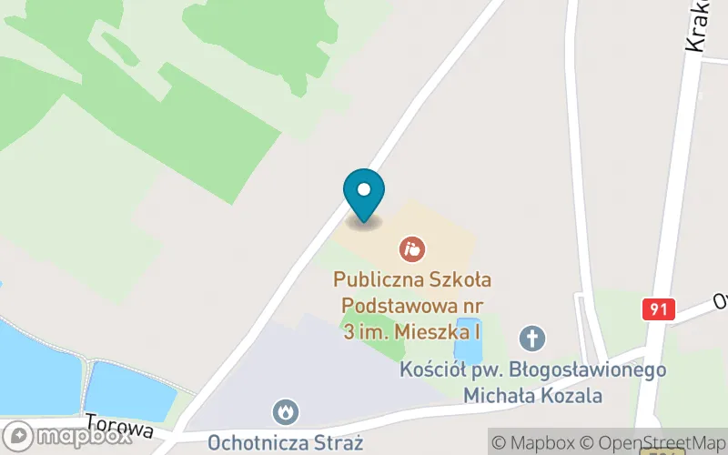 Lokalizacja: Publiczna Szkoła Podstawowa nr 3 im. Mieszka i w Radomsku