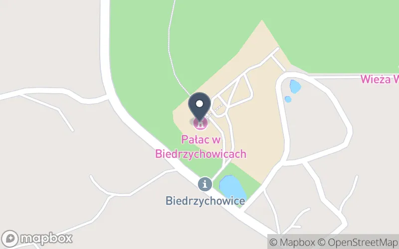 Lokalizacja: Dolnośląski Zespół Szkół w Biedrzychowicach