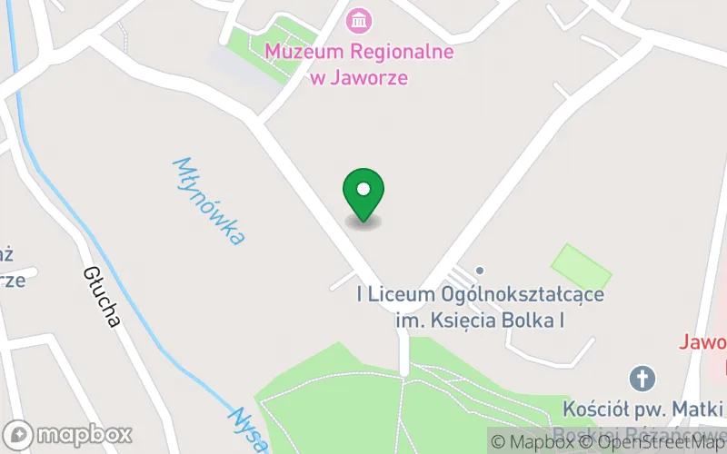 Lokalizacja: Przedszkole Publiczne nr 4 z Oddziałami Zamiejscowymi przy ul. Dmowskiego 5
