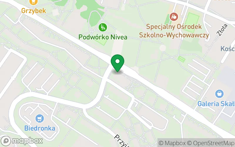 Lokalizacja: Dwujęzyczne Niepubliczne Przedszkole „Kreatywne Nutki” z Oddziałami Integracyjnymi dla Dzieci z Autyzmem
