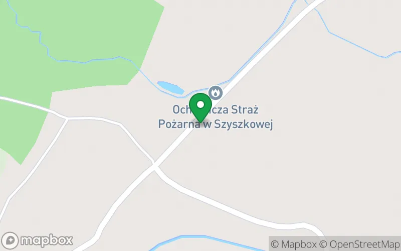 Lokalizacja: Przedszkole "Szyszkowa Polana" w Szyszkowej