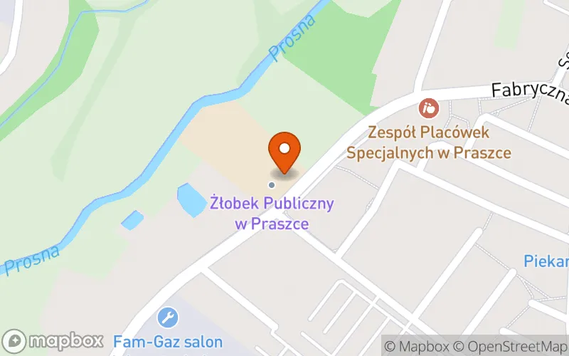 Lokalizacja: Publiczny Żłobek w Praszce