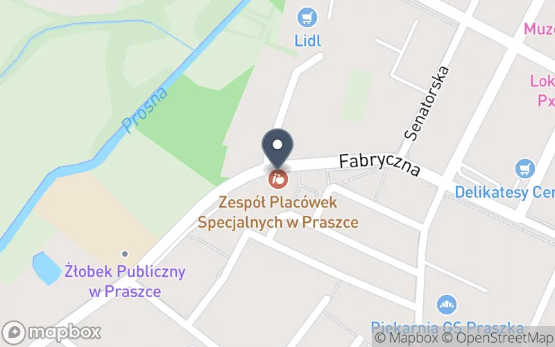Lokalizacja: Zespół Placówek Specjalnych