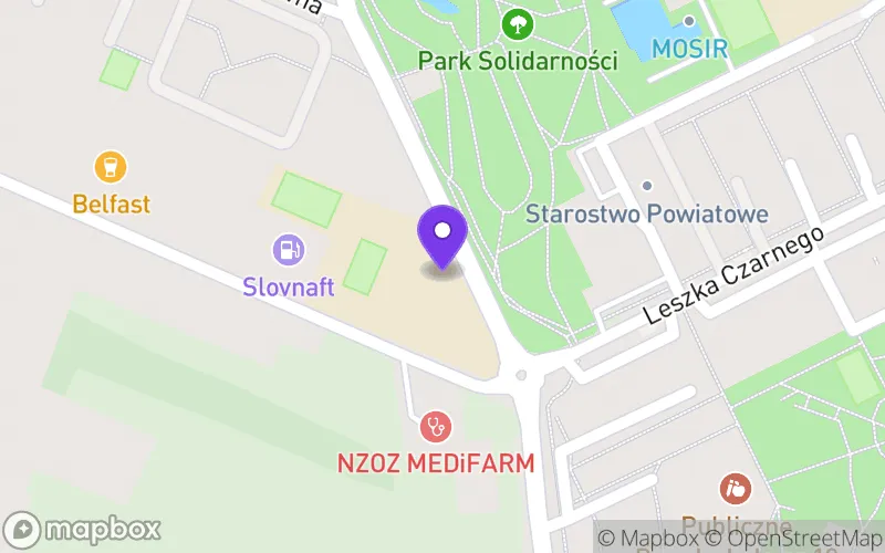 Lokalizacja: I Liceum Ogólnokształcące im. Feliksa Fabianiego w Radomsku