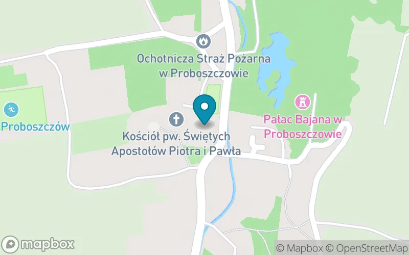 Lokalizacja: Szkoła Podstawowa im. Włodzimierza Puchalskiego w Proboszczowie