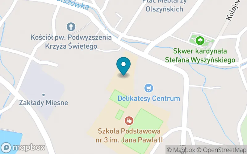Lokalizacja: Szkoła Podstawowa nr 3 im. Tadeusza Kościuszki w Olszynie