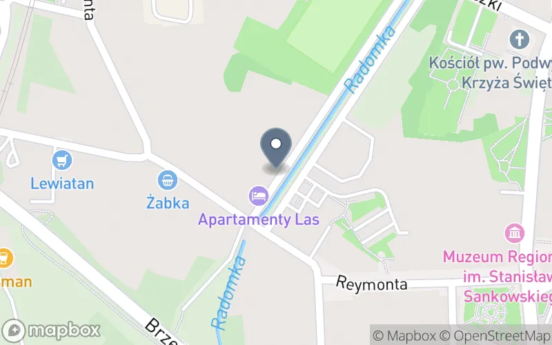 Lokalizacja: Szkoła Języków Obcych "Eurolingwista"