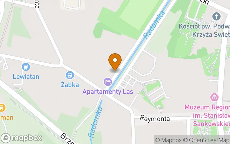 Lokalizacja: Publiczna Szkoła Policealna "Edukacja" w Radomsku