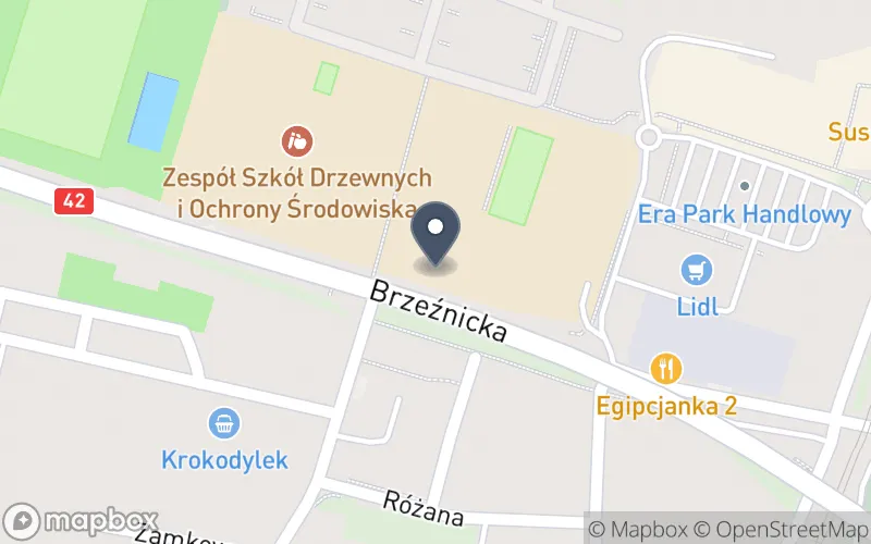 Lokalizacja: Zespół Szkół Ponadpodstawowych nr 1 im. Stanisława Staszica w Radomsku