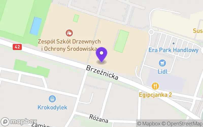 Lokalizacja: III Liceum Ogólnokształcące w Radomsku