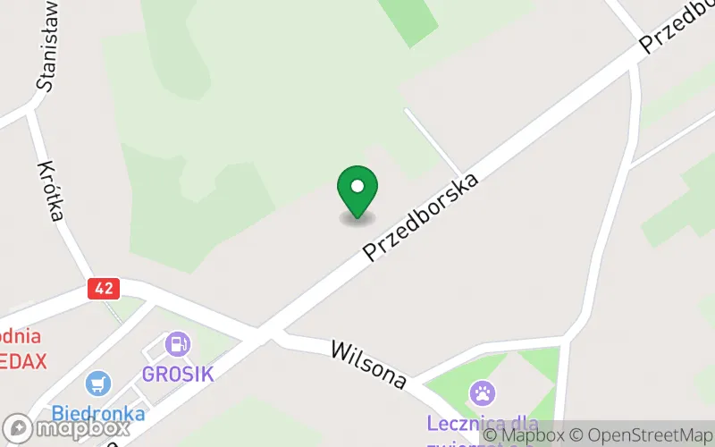 Lokalizacja: Przedszkole Niepubliczne Akademia Myszki Miki w Radomsku nr 1