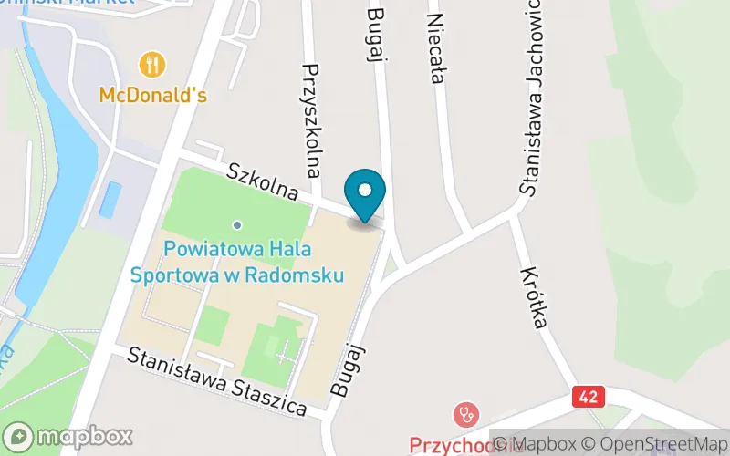 Lokalizacja: Publiczna Szkoła Podstawowa nr 4 im. Władysława Stanisława Reymonta w Radomsku