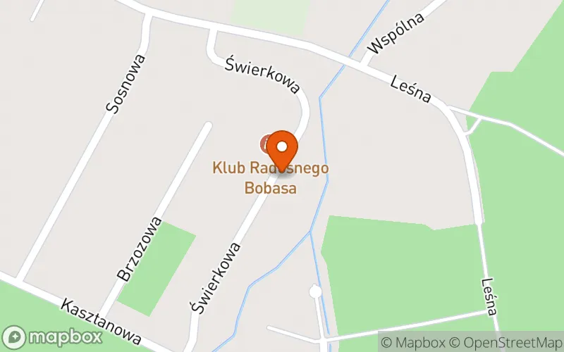 Lokalizacja: Klub Radosnego Bobasa