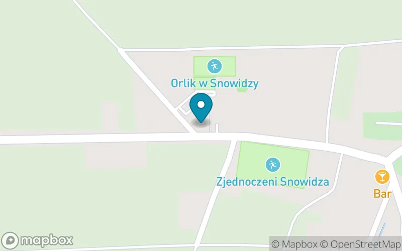 Lokalizacja: Szkoła Podstawowa w Snowidzy