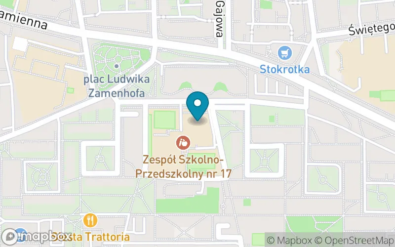 Lokalizacja: Szkoła Podstawowa nr 17 im. Prof. Stanisława Kulczyńskiego