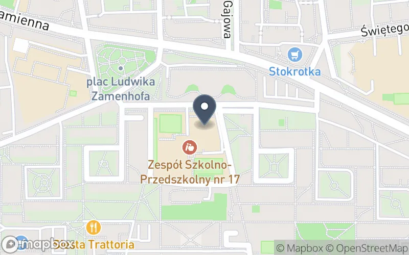 Lokalizacja: Zespół Szkolno-Przedszkolny nr 17