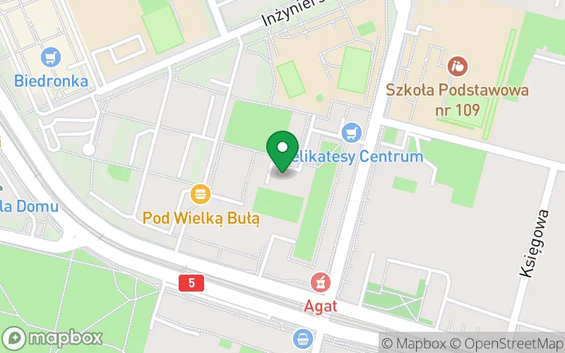 Lokalizacja: Przedszkole nr 96 pod Wesołym Słonkiem