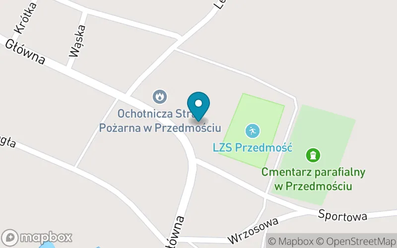 Lokalizacja: Szkoła Podstawowa w Przedmościu