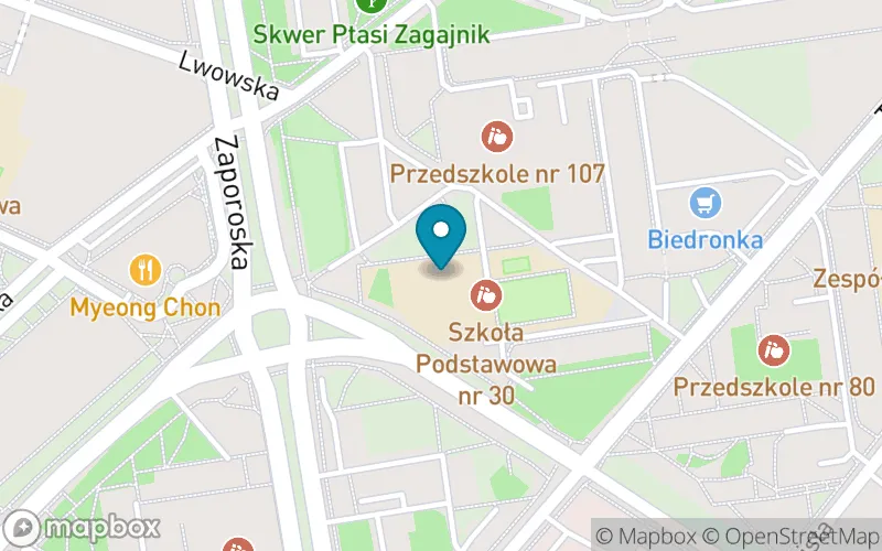 Lokalizacja: Szkoła Podstawowa nr 30